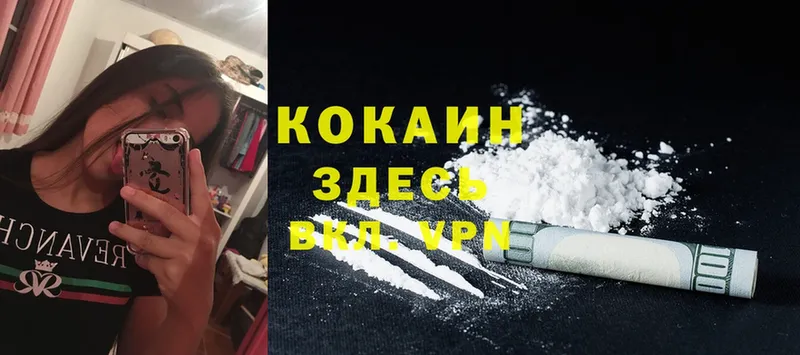 купить   Шадринск  COCAIN VHQ 