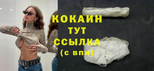 твердый Лагань