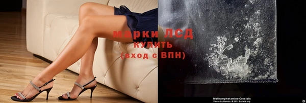 ПСИЛОЦИБИНОВЫЕ ГРИБЫ Кукмор