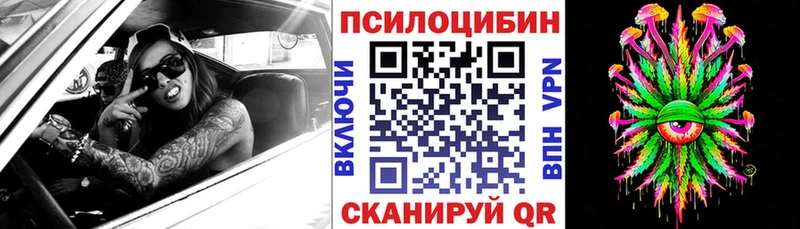 Галлюциногенные грибы прущие грибы  дарнет шоп  Шадринск 