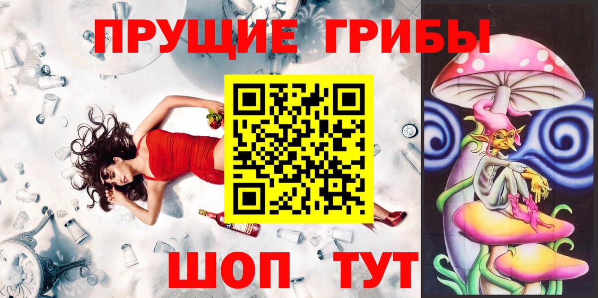 Галлюциногенные грибы Psilocybe Шадринск