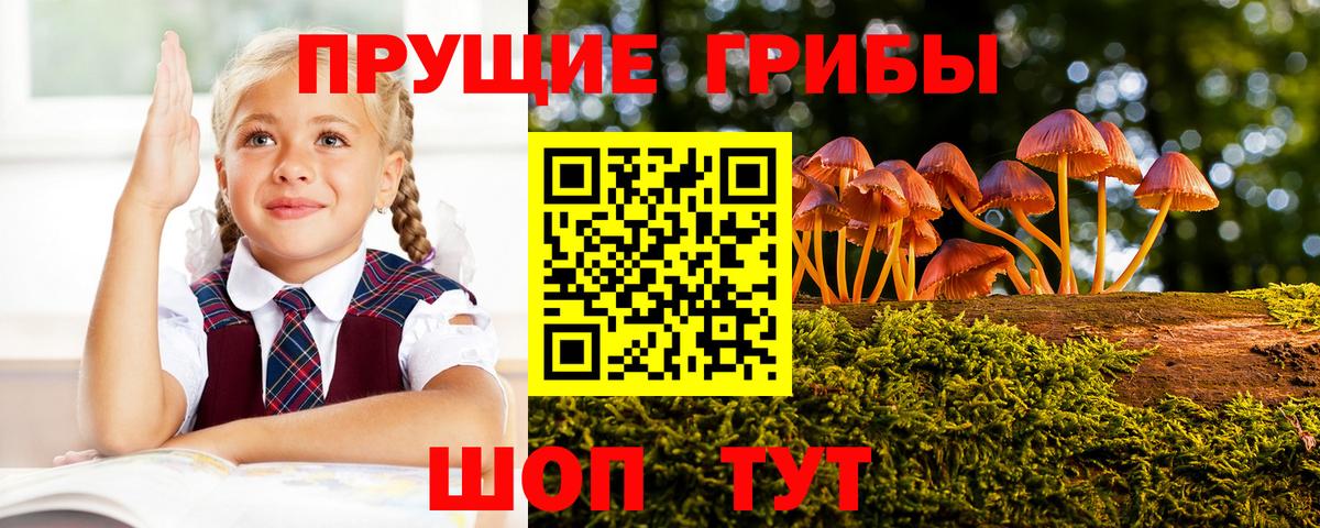 Псилоцибиновые грибы мухоморы  Вход с VPN  Галлюциногенные грибы мицелий  Шадринск 