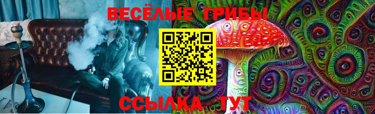 Псилоцибиновые грибы мицелий  Шадринск  Галлюциногенные грибы ЛСД 