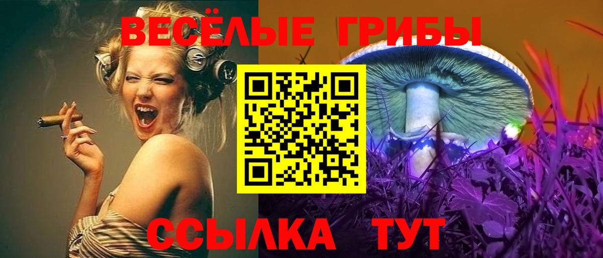 Псилоцибиновые грибы ЛСД Шадринск